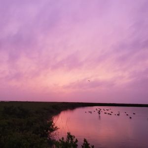 Meet your Posher, Randy